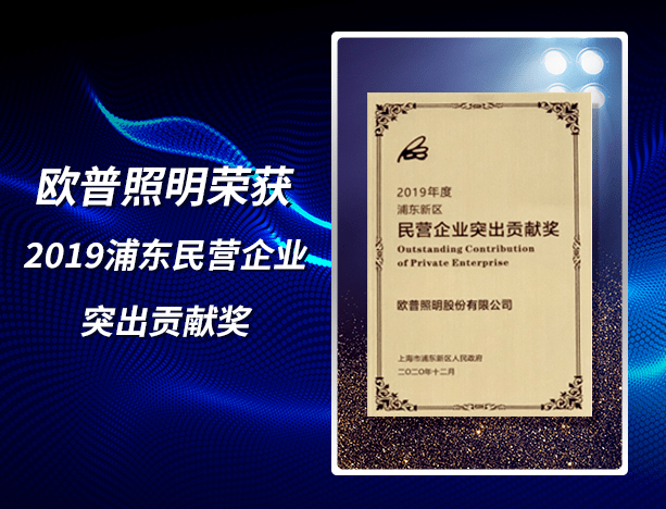 欧普照明公布国际专利申请：“电连接器及照明装置”
