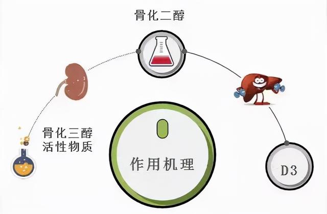 研究发现维生素D可增强小鼠癌症免疫力