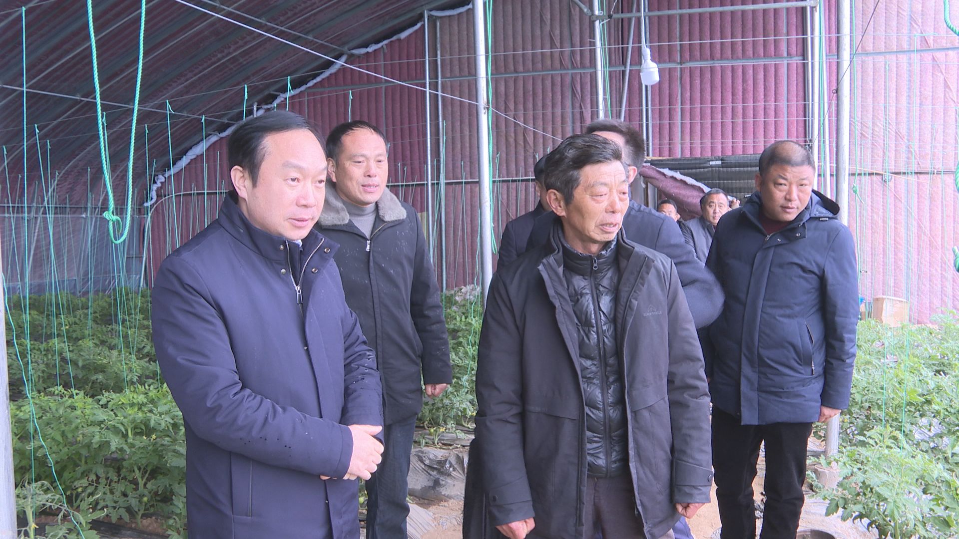 代表委员集思广益聚众智 加快发展新质生产力奏响最强音