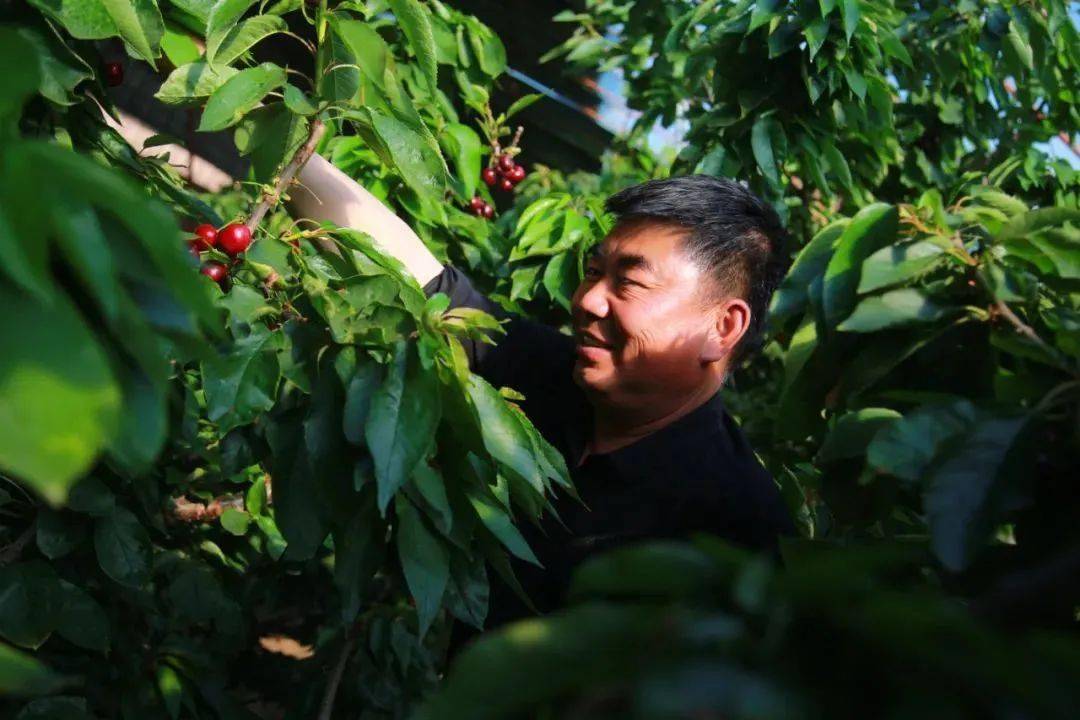 一天发布多款新品 庄正松：让每一位用户尽享学习和生活的乐趣