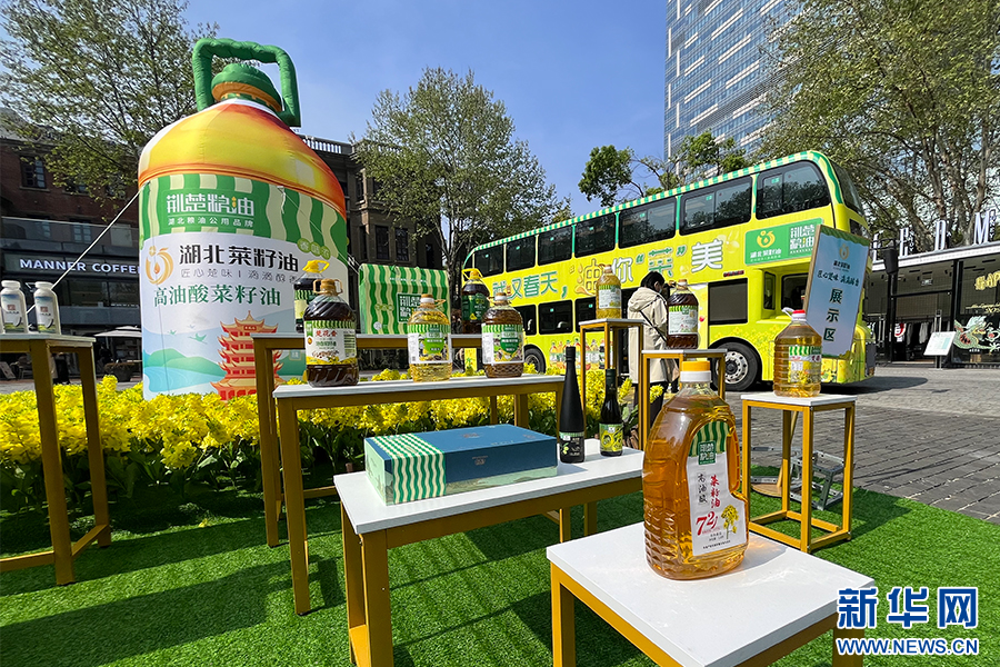 我国高含油量油菜育种取得新突破