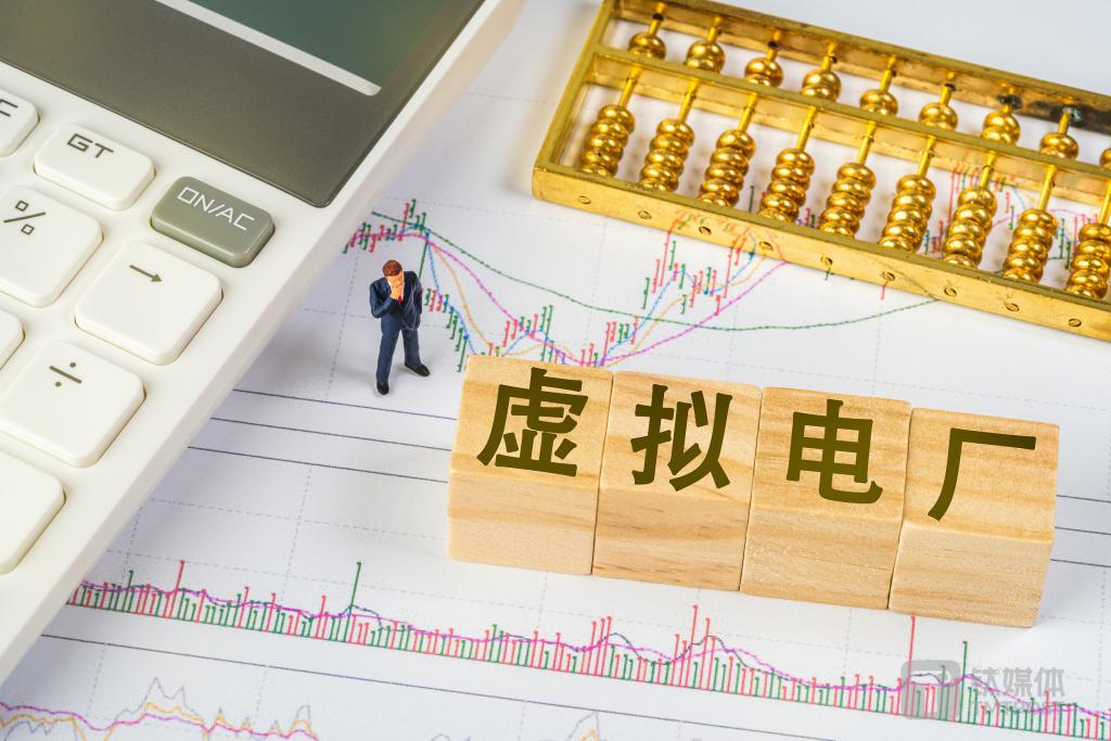 人保有温度,人保护你周全_2024中国虚拟电厂行业深度分析及发展前景预测