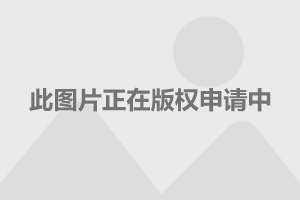 人保车险   品牌优势——快速了解燃油汽车车险,人保伴您前行_2024租赁合作行业现状及市场规模、未来前景分析