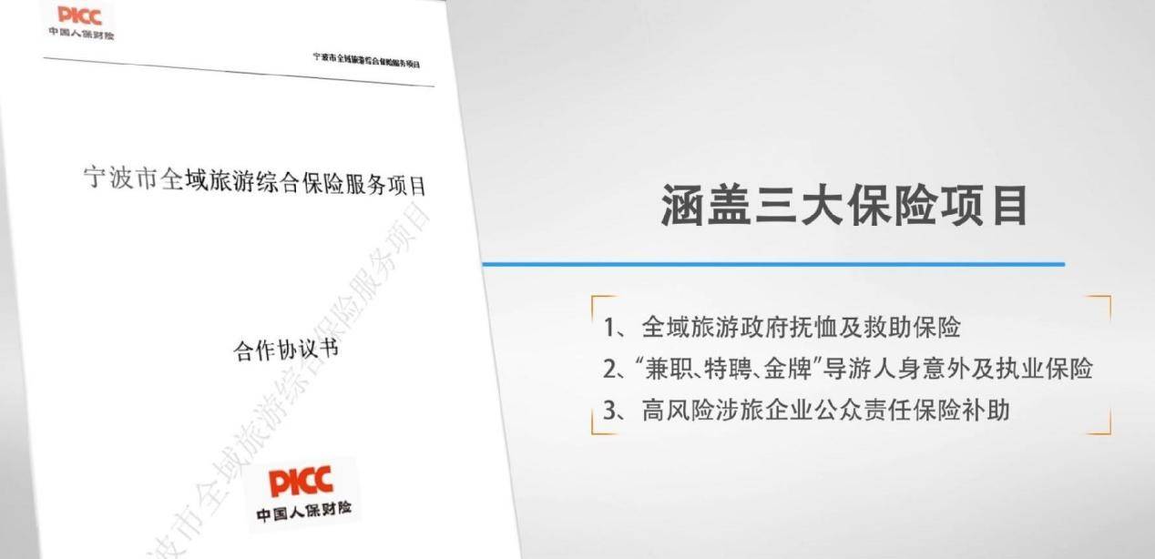 人保服务 ,人保伴您前行_中国全域旅游行业市场深度分析2024