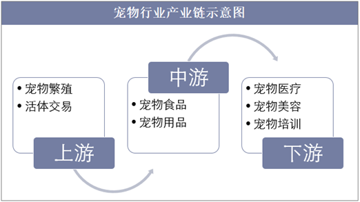 保险有温度,人保有温度_2024粽子行业市场调研与产业链构成分析