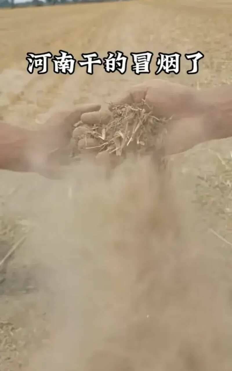 北方高温凶猛 多地部署抗旱保夏播
