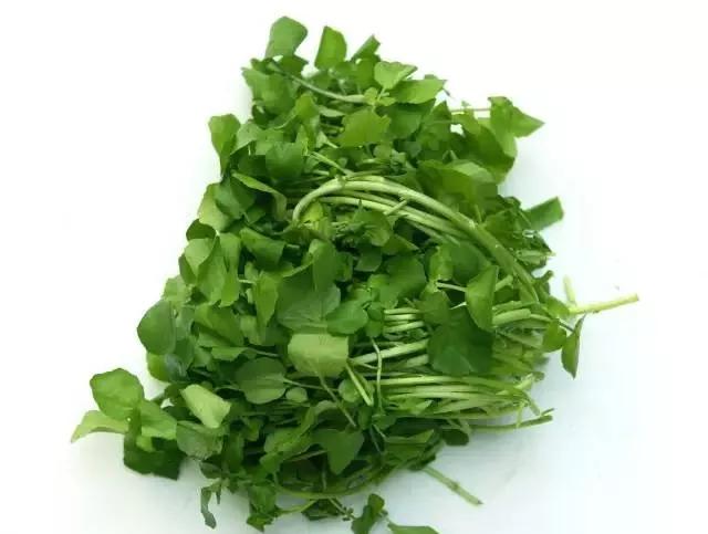 哪些蔬菜是碱性的？碱性蔬菜好处_人保车险   品牌优势——快速了解燃油汽车车险,人保伴您前行