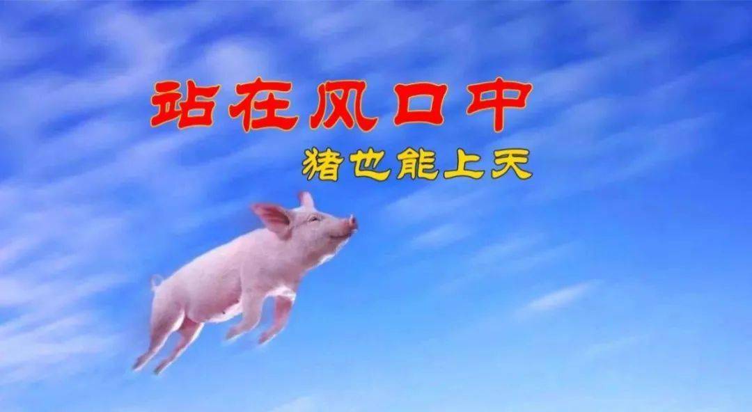 违法所得592元，却被罚1864万？官方回应！