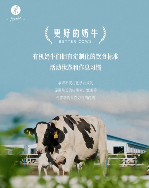 茉酸奶：以创新与健康引领未来酸奶产业的绿色革命