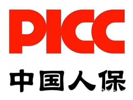 2024中国冰雪行业市场全景调研与未来发展前景预测_人保服务,人保车险