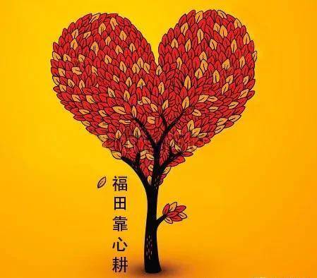 规则带来的公平效率（念念有余）