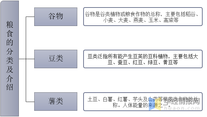 粮食加工行业深度调研及投资机会分析_保险有温度,人保护你周全