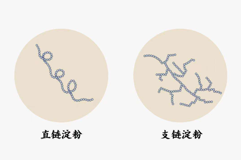 人保服务 ,人保财险政银保 _2024年大米淀粉行业市场分析及未来供需趋势预测