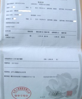 2024年咖啡壶行业发展趋势及供需分析_人保财险政银保 ,拥有“如意行”驾乘险，出行更顺畅！