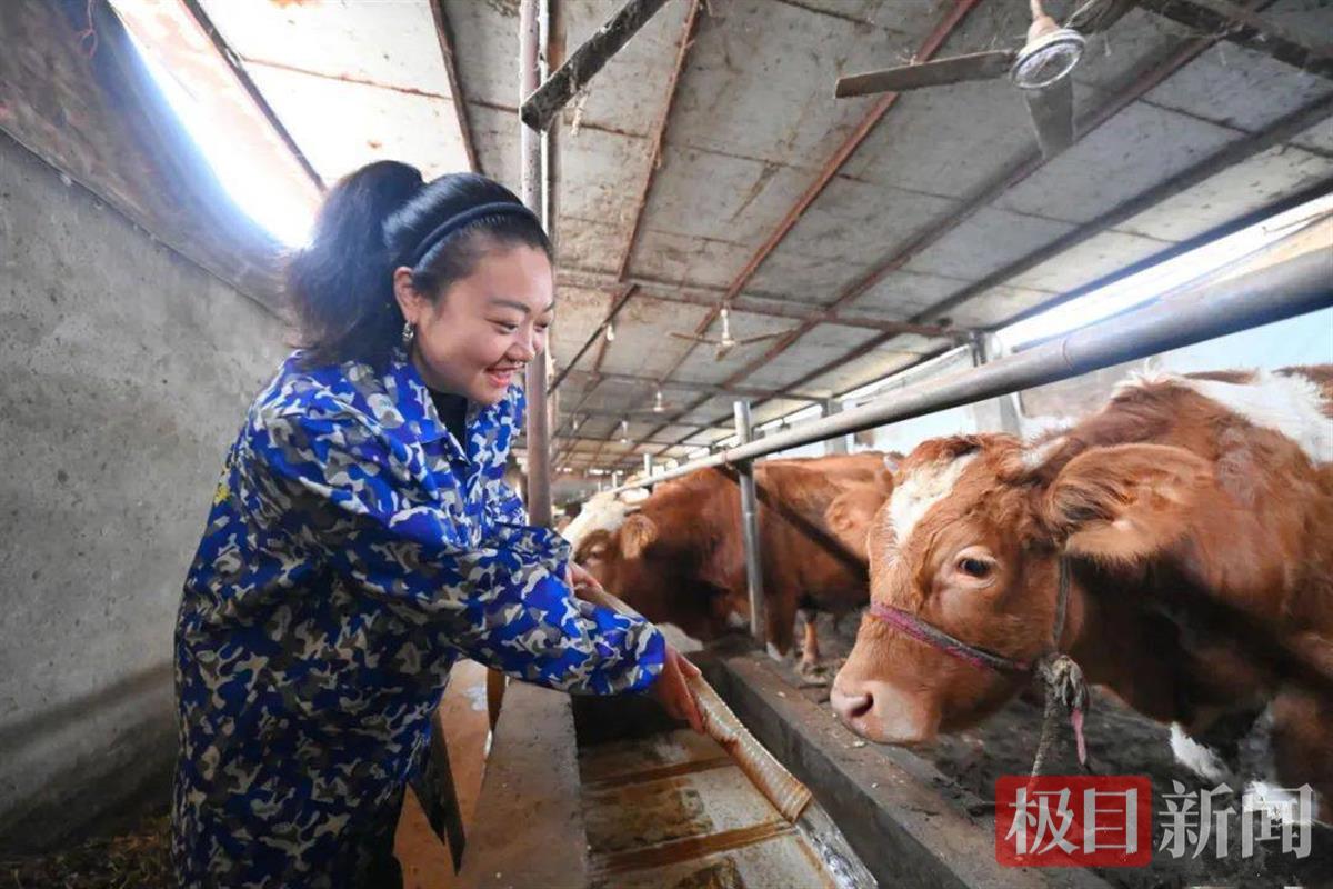 “85后”蒋妍，拟任市级机关正职！