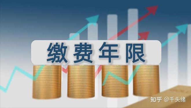 2024年12月25日松树皮报价最新价格多少钱