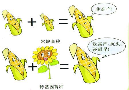 转基因种子行业发展规划及投资前景咨询行业的优势与应用_人保财险 ,人保护你周全