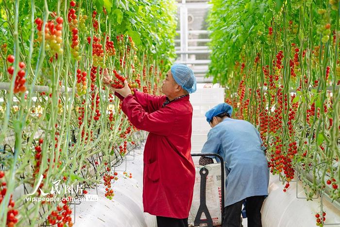 2025年智慧农业行业现状与发展趋势分析_人保服务 ,拥有“如意行”驾乘险，出行更顺畅！