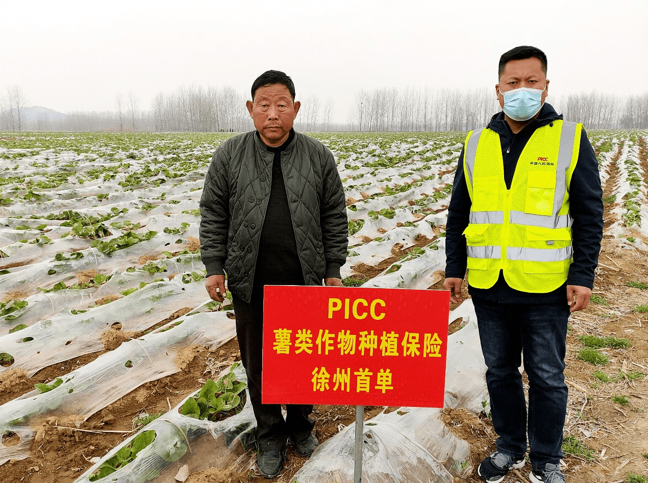 2025年白酒行业竞争格局及发展前景预测分析_保险有温度,人保财险政银保 