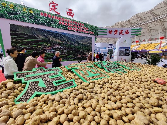 2025年中国马铃薯产业现状与发展趋势深度分析：从传统种植到全产业链价值重构的跨越式发展_人保服务 ,人保伴您前行