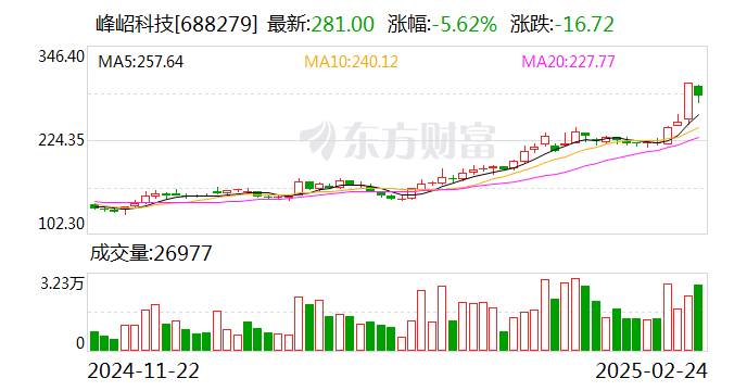 兆新股份大宗交易成交204.93万元