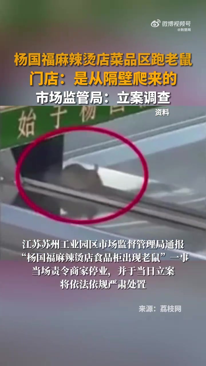 杨国福“食品柜出现老鼠”涉事门店停业整改