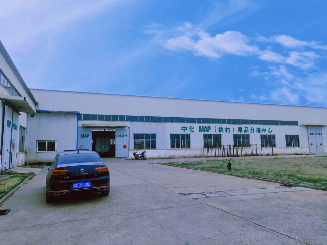 飞龙股份：公司2025年第一季度毛利率有所提升主要有以下三点原因