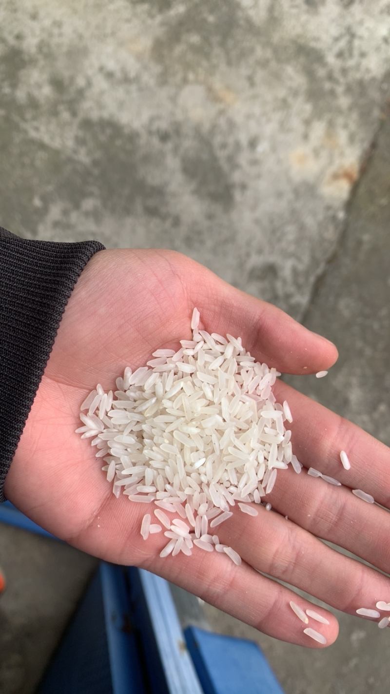 大米变成“奢侈品”！日本多地大米被偷，有人一次性窃走840斤！还有不法分子以“半价米”为诱饵进行诈骗