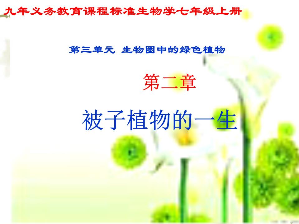 德研究人员借助古老花粉追溯被子植物起源时间