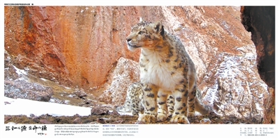 青藏高原人群的“幽灵祖先”找到了