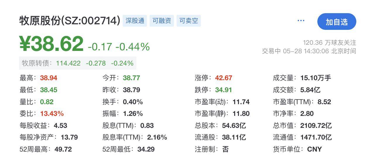 又一A股龙头启动招股 港股IPO好戏连台
