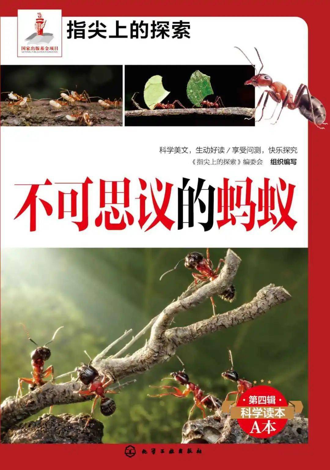 科学家揭秘蚂蚁在恐龙时代的组织架构