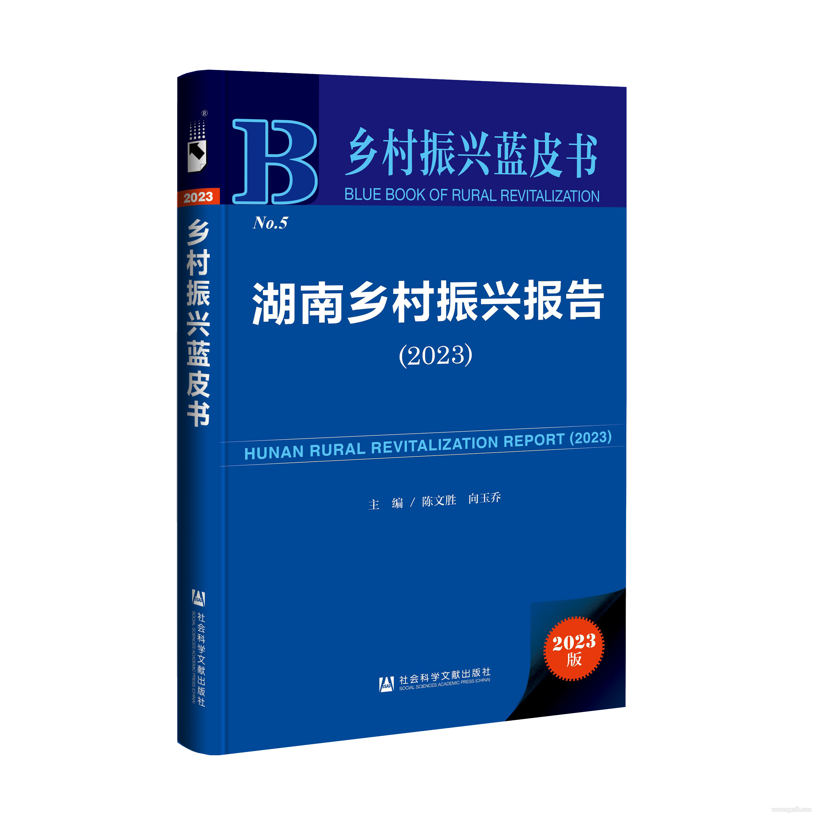 蓝皮书：中国集成电路产业创新能力不断提升