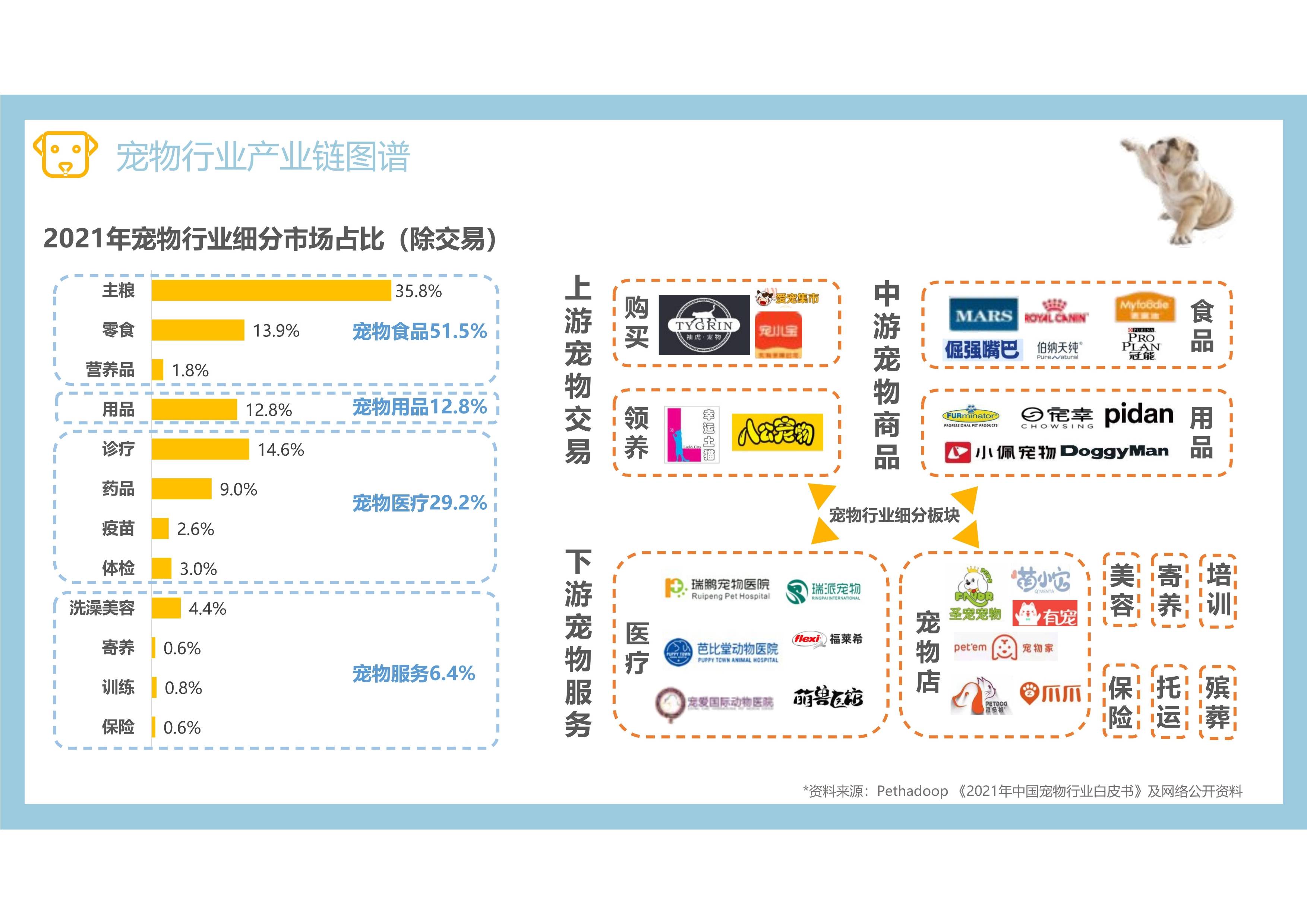 2025年网络与通信行业全景调研及发展趋势预测_人保服务 ,人保财险政银保 