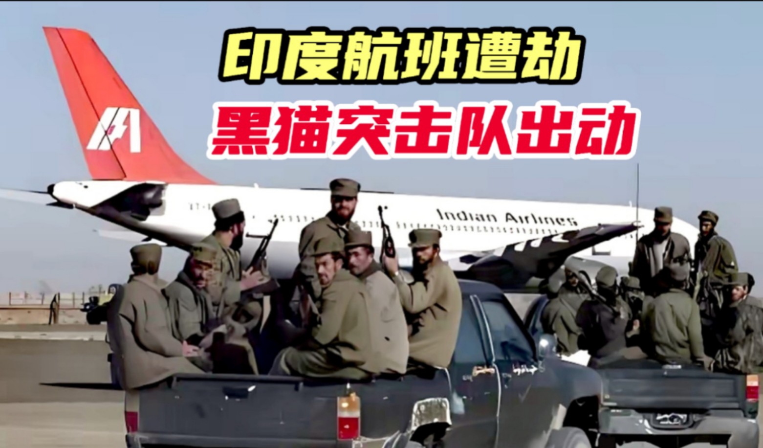 飞行过程中遭遇鸟击 印度航空一航班安全降落后停飞