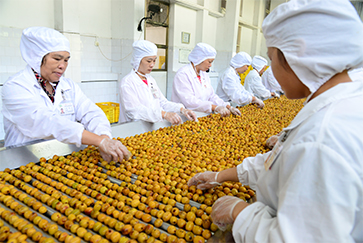 齐云山食品IPO:产能利用率不足却执意扩产,单一产品依赖如何破局?