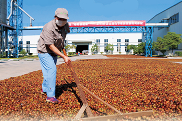 齐云山食品IPO:产能利用率不足却执意扩产,单一产品依赖如何破局?