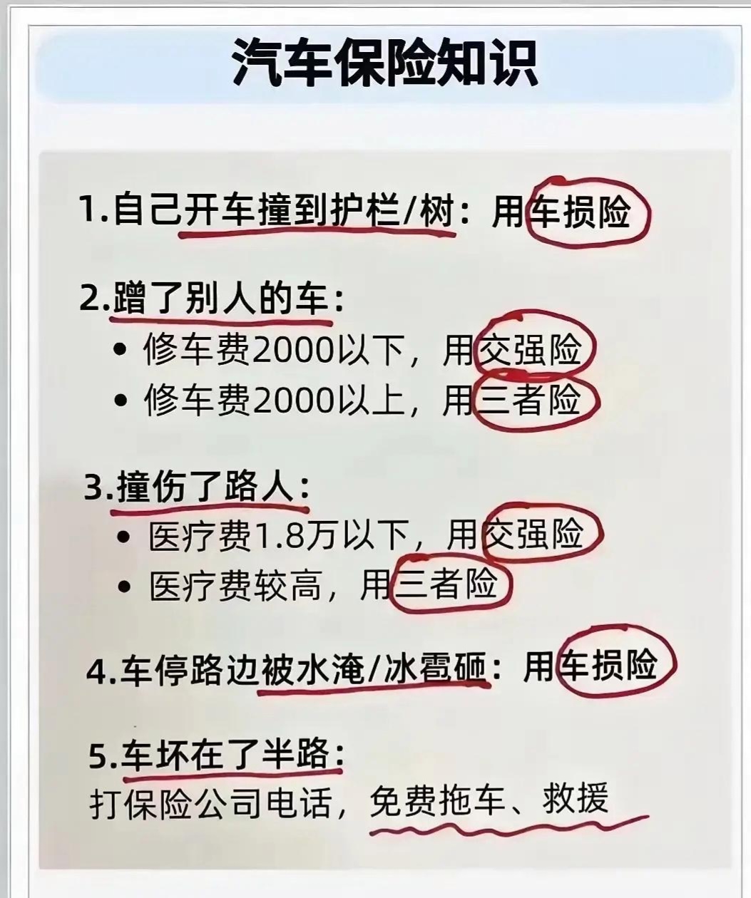人保车险   品牌优势——快速了解燃油汽车车险,拥有“如意行”驾乘险，出行更顺畅！_2025年可吸收医疗器械行业：在骨科、心血管领域的应用前景