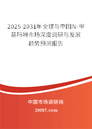 2025中国电力行业深度发展研究与“十五五”企业投资战略规划_人保服务 ,人保财险政银保 