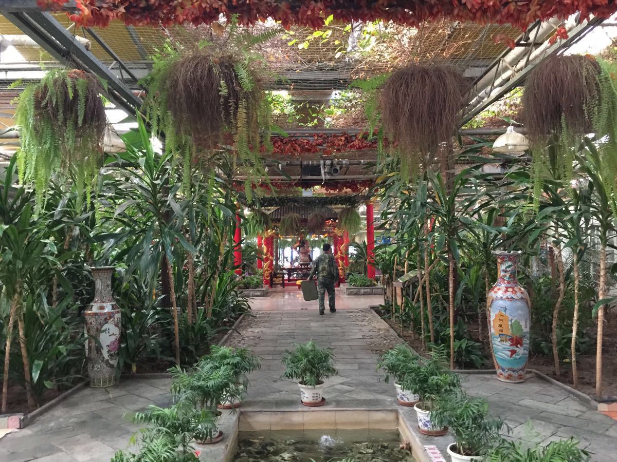 红太阳等在新疆成立生态农业公司