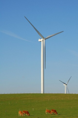 瑞茂通:新能源子公司布局风力发电及分布式光伏电厂