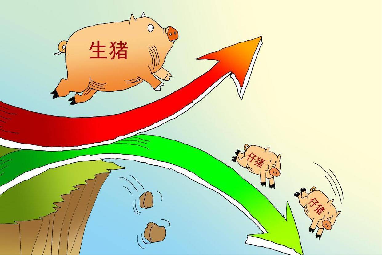 国家统计局：7月中旬生猪价格环比跌4.6%