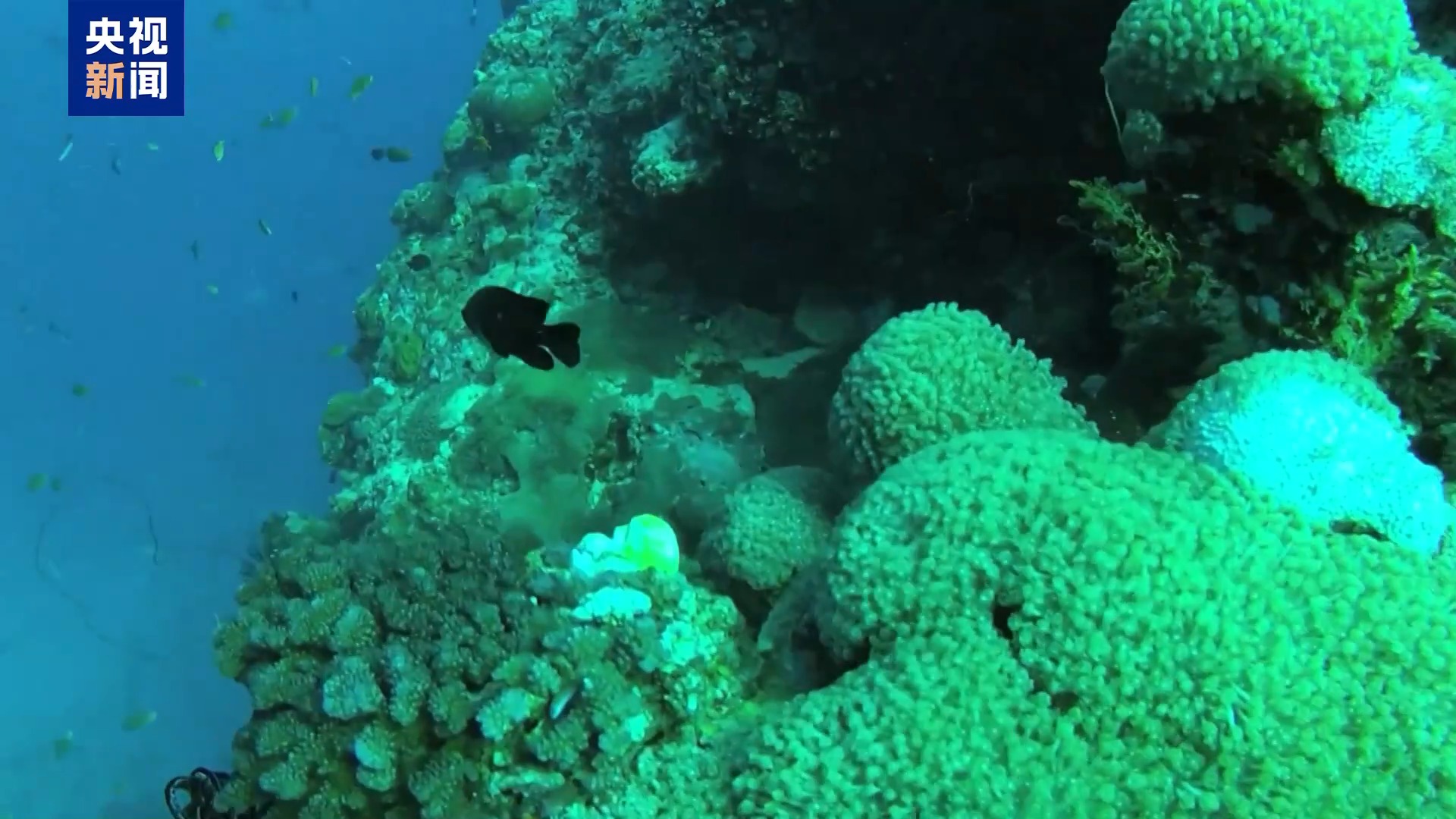 中外科技工作者合作揭示全球极端海洋热浪驱动机制