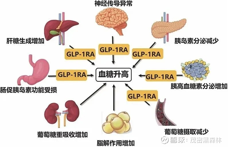 临床研究证明替尔泊肽对心血管、肾脏保护有效 礼来预计年底前向全球监管机构递交数据