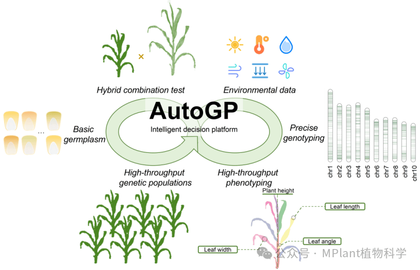 科学与健康丨帮助作物“优生优育”！首台全流程智能育种机器人来了