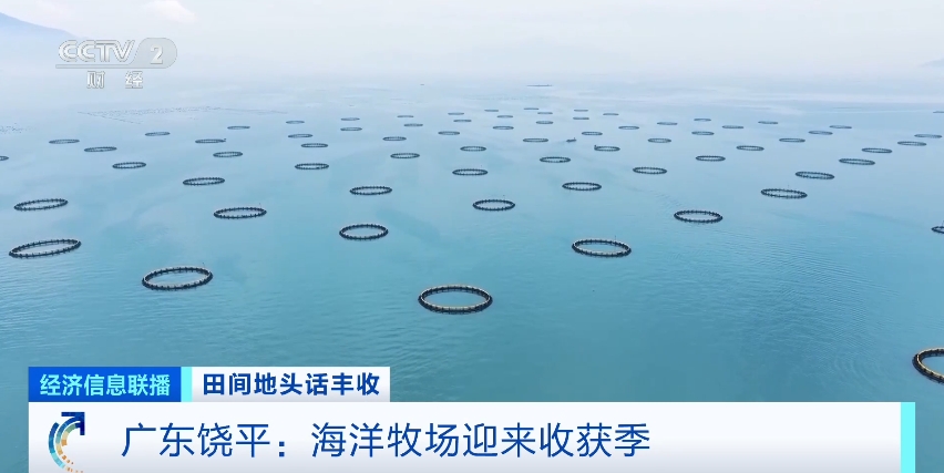 楚江新材子公司拟3亿元投建高性能纤维预制体产业化项目 预计年产值约6亿元