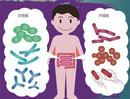 新疗法让细菌与病毒组成抗癌“战队”