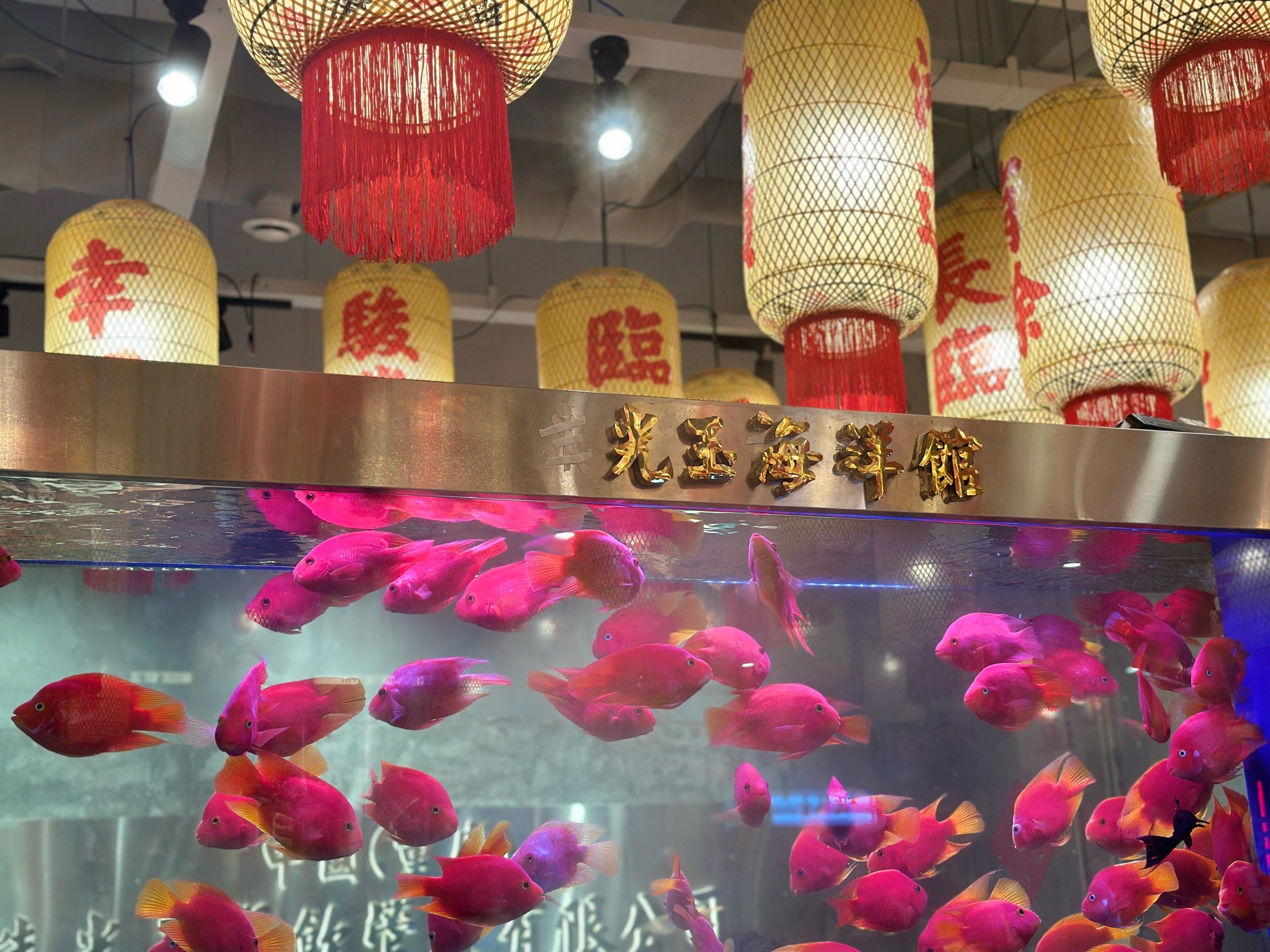 朱光玉回应长沙门店暂停营业：仅为代理商个例