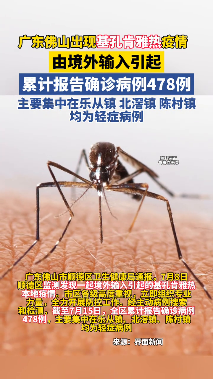 广东一周新增336例基孔肯雅热本地个案 疫情以散发为主