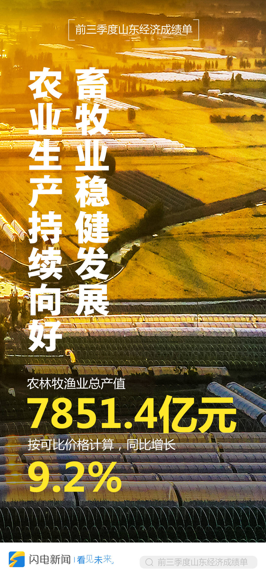 三部门发文部署 金融支持林业高质量发展